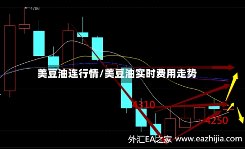 美豆油连行情/美豆油实时费用走势-第1张图片