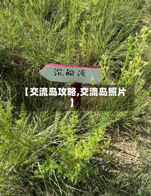 【交流岛攻略,交流岛照片】-第1张图片