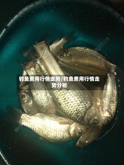 钓鱼费用行情走势/钓鱼费用行情走势分析-第1张图片