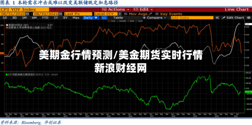 美期金行情预测/美金期货实时行情新浪财经网-第1张图片