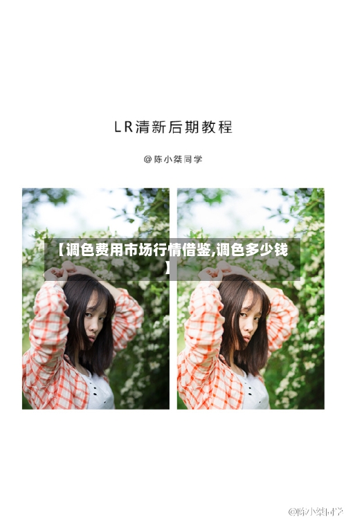 【调色费用市场行情借鉴,调色多少钱】-第1张图片