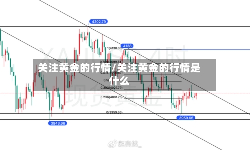 关注黄金的行情/关注黄金的行情是什么-第1张图片