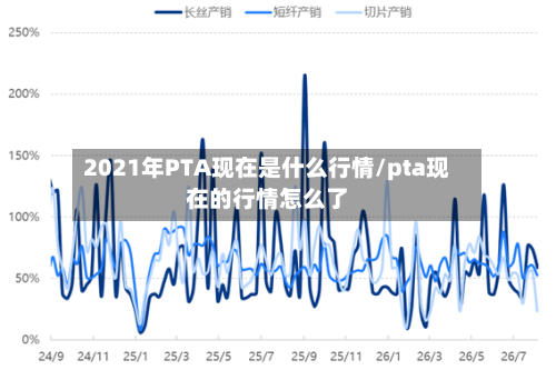 2021年PTA现在是什么行情/pta现在的行情怎么了-第1张图片