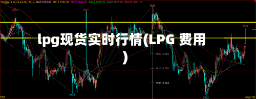 lpg现货实时行情(LPG 费用)-第1张图片
