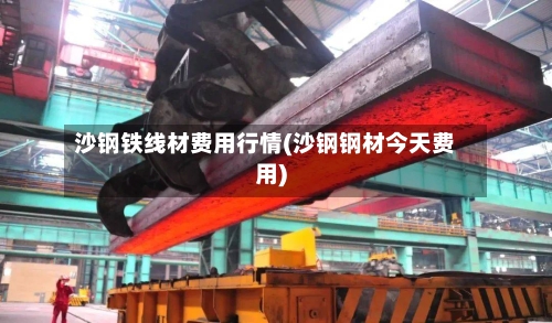 沙钢铁线材费用行情(沙钢钢材今天费用)-第1张图片