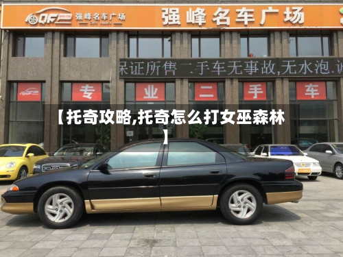 【托奇攻略,托奇怎么打女巫森林】-第1张图片