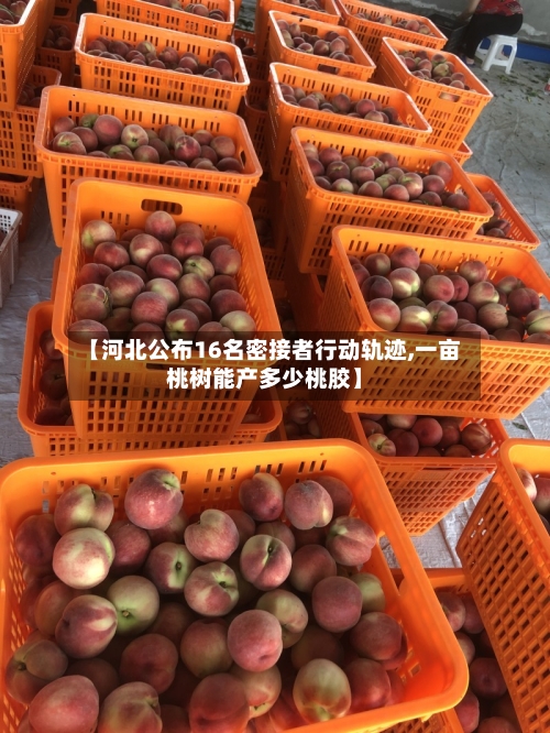【河北公布16名密接者行动轨迹,一亩桃树能产多少桃胶】-第1张图片