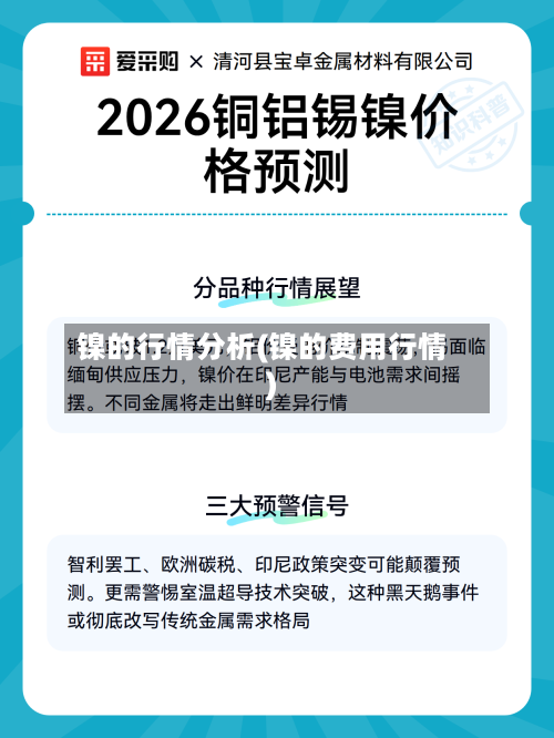 镍的行情分析(镍的费用行情)-第1张图片