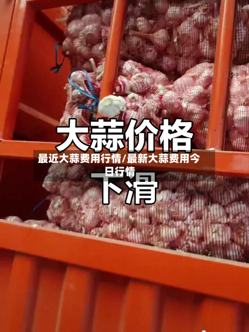 最近大蒜费用行情/最新大蒜费用今日行情-第1张图片