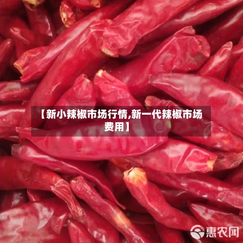 【新小辣椒市场行情,新一代辣椒市场费用】-第1张图片