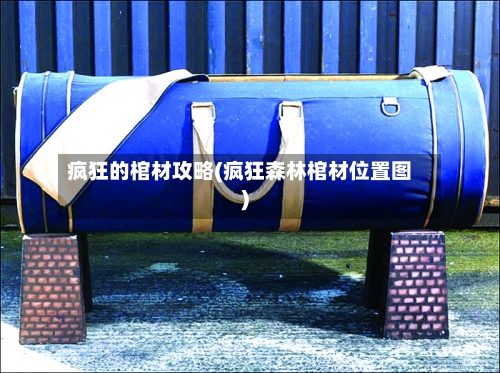 疯狂的棺材攻略(疯狂森林棺材位置图)-第1张图片