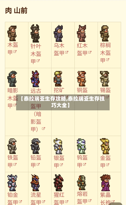 【泰拉瑞亚生存攻略,泰拉瑞亚生存技巧大全】-第1张图片