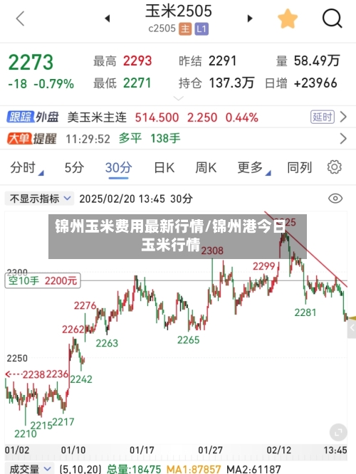 锦州玉米费用最新行情/锦州港今日玉米行情