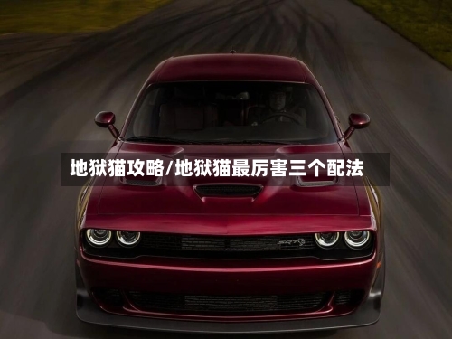 地狱猫攻略/地狱猫最厉害三个配法-第1张图片