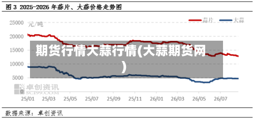 期货行情大蒜行情(大蒜期货网)