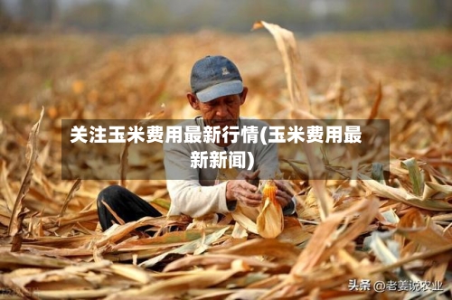 关注玉米费用最新行情(玉米费用最新新闻)-第1张图片