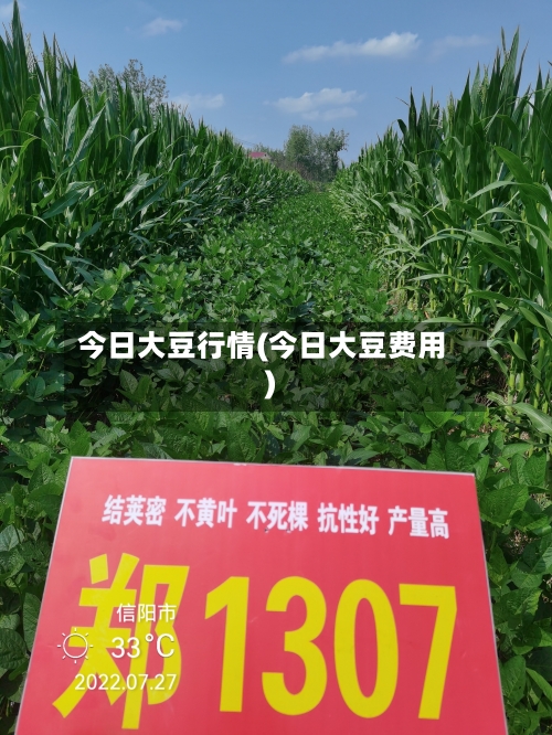 今日大豆行情(今日大豆费用)-第1张图片