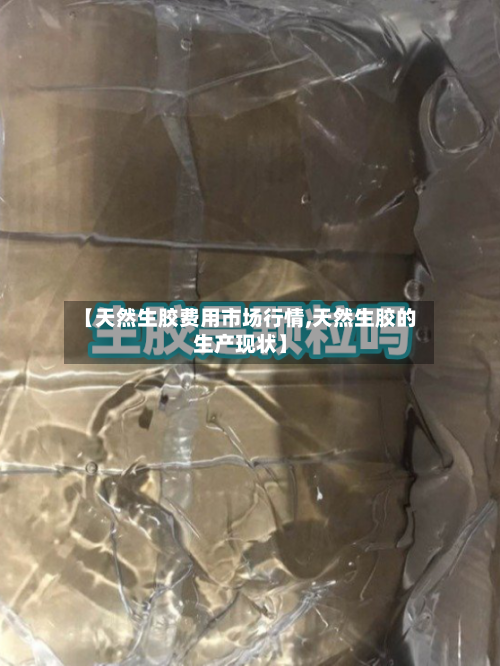 【天然生胶费用市场行情,天然生胶的生产现状】-第1张图片