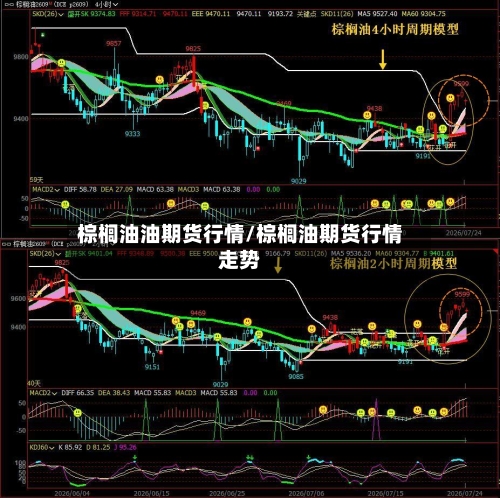 棕榈油油期货行情/棕榈油期货行情走势-第1张图片