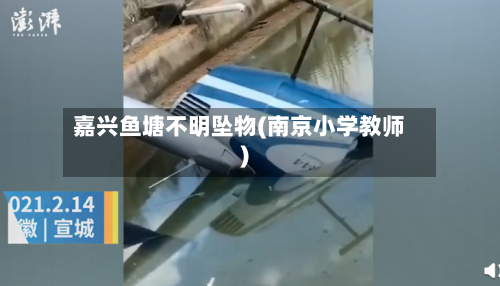 嘉兴鱼塘不明坠物(南京小学教师)-第1张图片