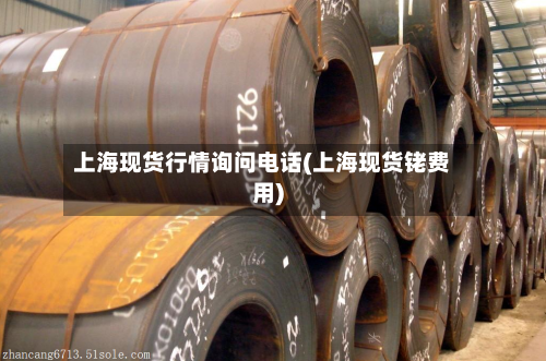 上海现货行情询问电话(上海现货铑费用)-第1张图片