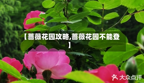 【蔷薇花园攻略,蔷薇花园不能登】-第1张图片