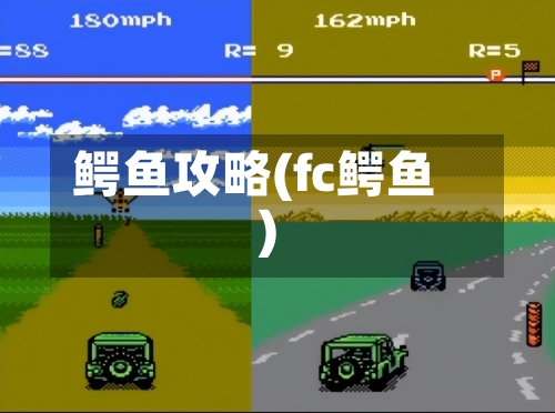 鳄鱼攻略(fc鳄鱼)-第1张图片