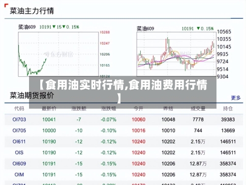 【食用油实时行情,食用油费用行情】-第1张图片