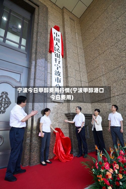 宁波今日甲醇费用行情(宁波甲醇港口今日费用)-第1张图片