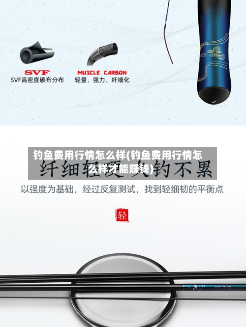 钓鱼费用行情怎么样(钓鱼费用行情怎么样才能赚钱)-第1张图片