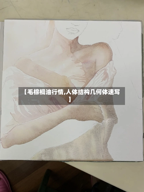 【毛棕榈油行情,人体结构几何体速写】-第1张图片