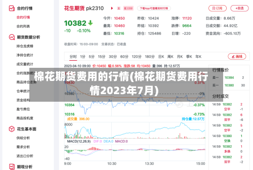 棉花期货费用的行情(棉花期货费用行情2023年7月)-第1张图片