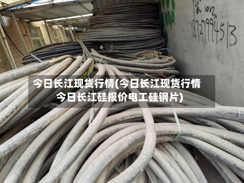 今日长江现货行情(今日长江现货行情今日长江硅报价电工硅钢片)-第1张图片