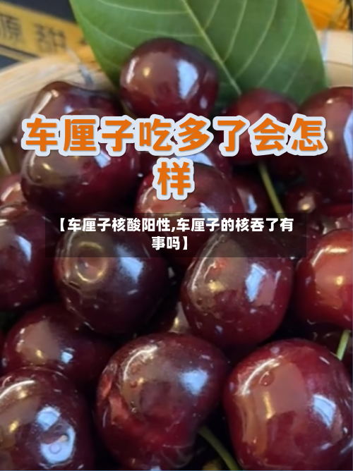 【车厘子核酸阳性,车厘子的核吞了有事吗】-第2张图片