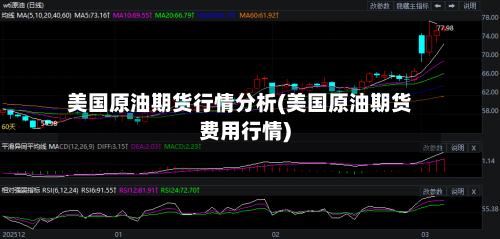 美国原油期货行情分析(美国原油期货费用行情)-第2张图片