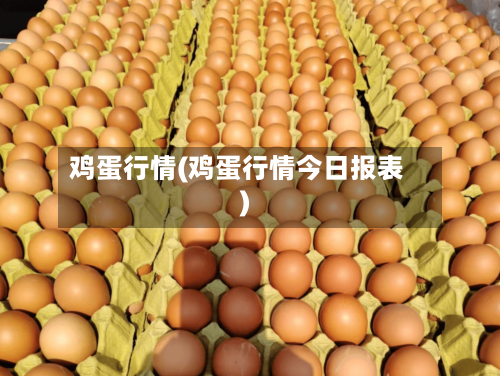 鸡蛋行情(鸡蛋行情今日报表)