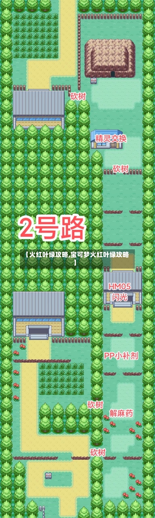 【火红叶绿攻略,宝可梦火红叶绿攻略】-第2张图片