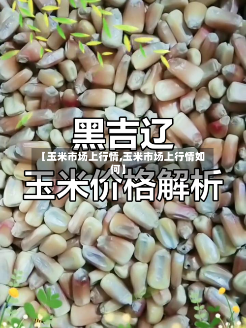【玉米市场上行情,玉米市场上行情如何】