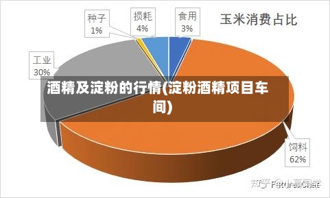 酒精及淀粉的行情(淀粉酒精项目车间)-第3张图片