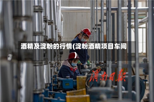酒精及淀粉的行情(淀粉酒精项目车间)-第2张图片