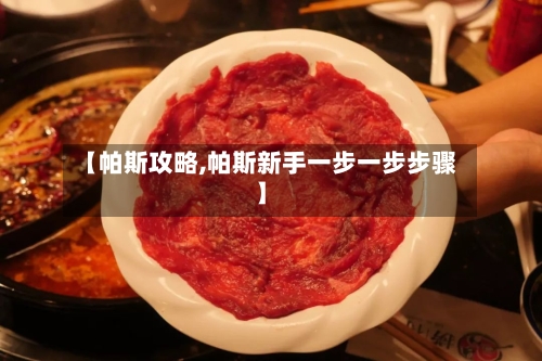 【帕斯攻略,帕斯新手一步一步步骤】