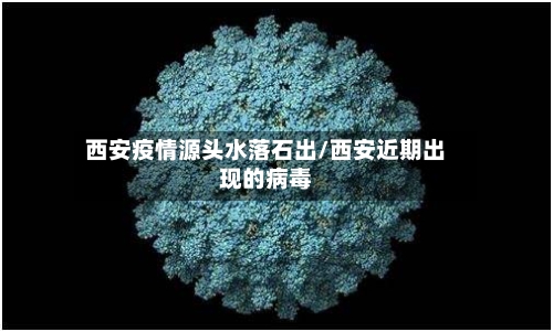 西安疫情源头水落石出/西安近期出现的病毒-第2张图片