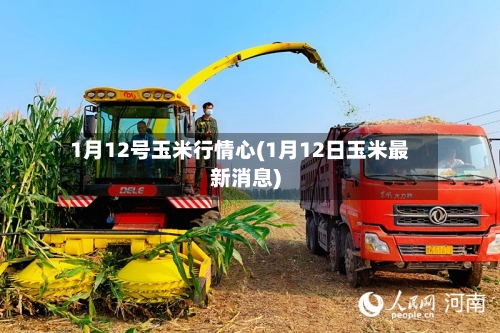 1月12号玉米行情心(1月12日玉米最新消息)-第3张图片