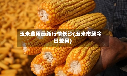 玉米费用最新行情长沙(玉米市场今日费用)-第3张图片