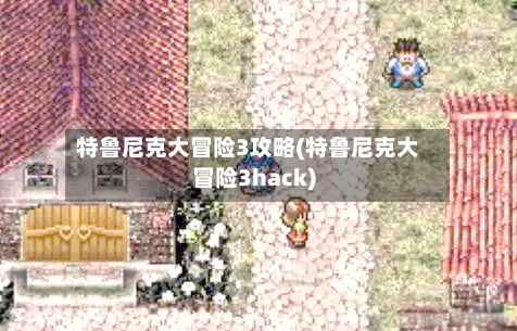 特鲁尼克大冒险3攻略(特鲁尼克大冒险3hack)