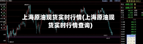 上海原油现货实时行情(上海原油现货实时行情查询)