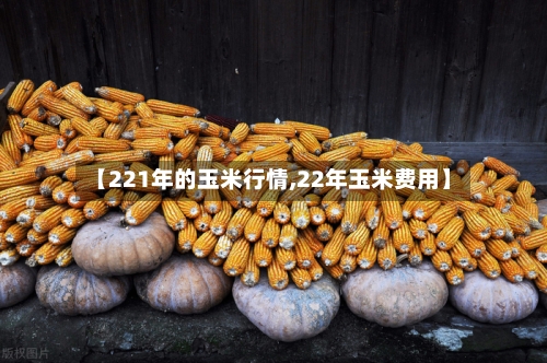 【221年的玉米行情,22年玉米费用】-第3张图片