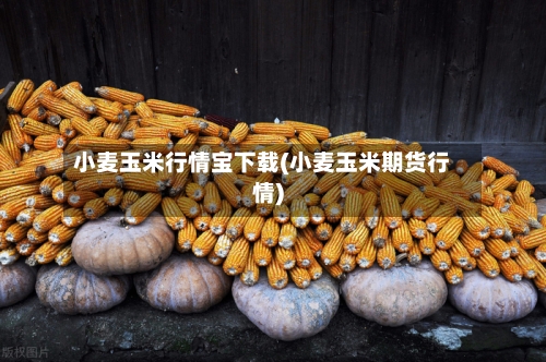 小麦玉米行情宝下载(小麦玉米期货行情)