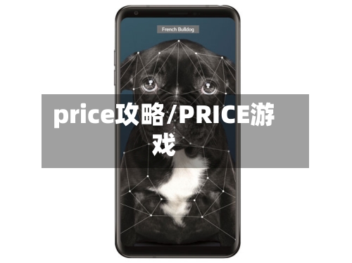 price攻略/PRICE游戏-第3张图片