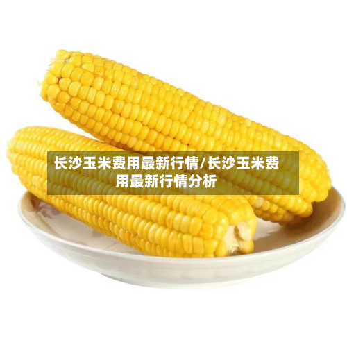 长沙玉米费用最新行情/长沙玉米费用最新行情分析